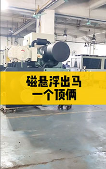 磁懸浮出馬，一個(gè)頂倆！